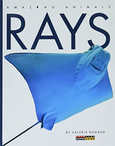 Rays [Paperback]