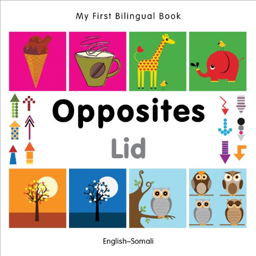 My First Bilingual Book–Opposites (Engli