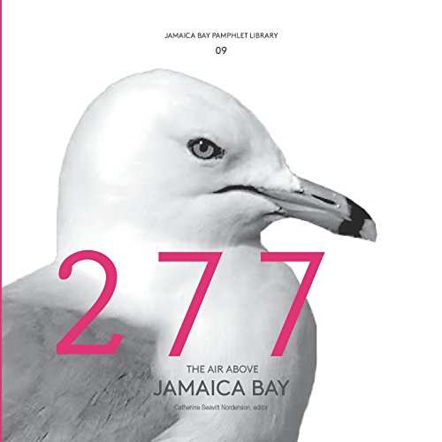 Jamaica Bay Pamphlet Library 09 The Air Above Jamaica Bay [Paperback]