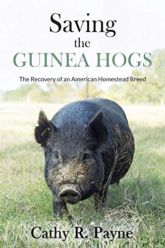 Saving the Guinea Hogs  The Recovery of an American Homestead Breed [Paperback]