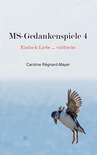 MS-Gedankenspiele 4 [Paperback]