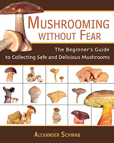 Mushrooming Without Fear: The Beginner's