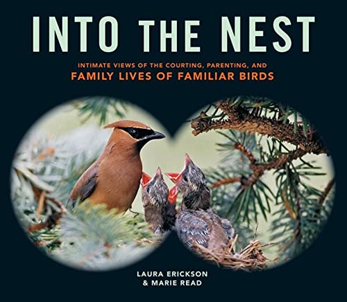 Into the Nest: Intimate Views of the Courting, Parenting, and Family Lives of Fa [Paperback]