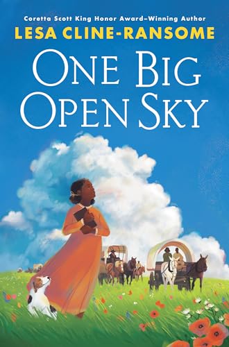 One Big Open Sky [Hardcover]