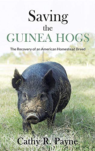 Saving the Guinea Hogs  The Recovery of an American Homestead Breed [Hardcover]