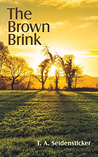 Bron Brink [Paperback]