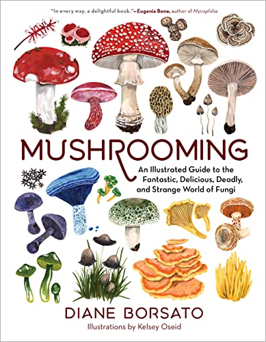 Mushrooming: An Illustrated Guide to the Fant