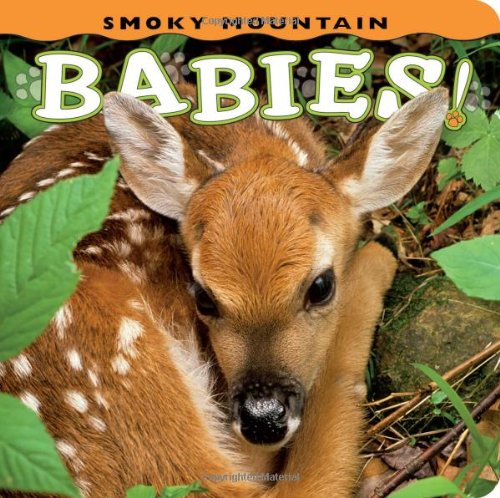 Smoky Mountain Babies! (babies! (farcountry Press)) [Board book]