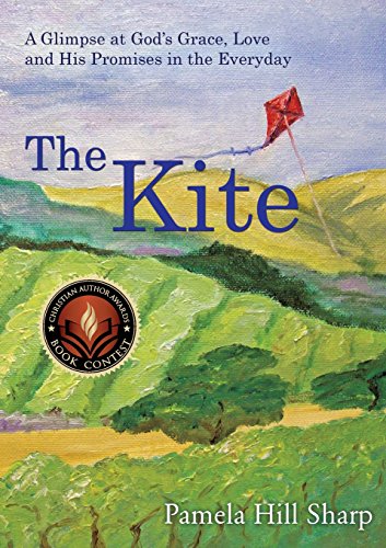 The Kite [Paperback]