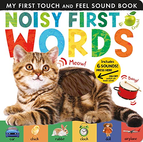 Noisy First Words [Board book]