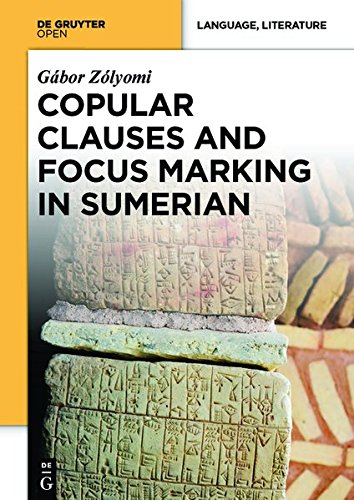 Copular Clauses And Focus Marking In Sumerian [Hardcover]