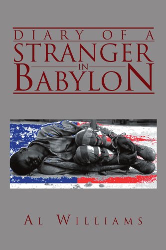 Diary of a Stranger in Babylon [Paperback]