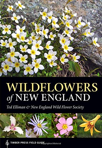 Wildflowers Of New England: Timber Press Fiel