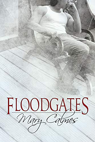 Floodgates [Paperback]