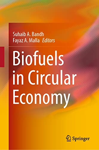 Biofuels in Circular Economy [Hardcover]