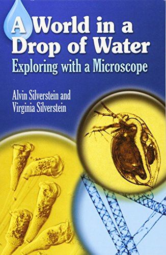 A World in a Drop of Water: Exploring with a