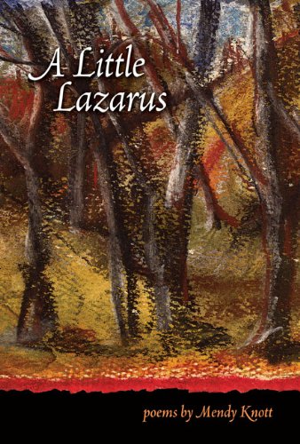 A Little Lazarus [Paperback]