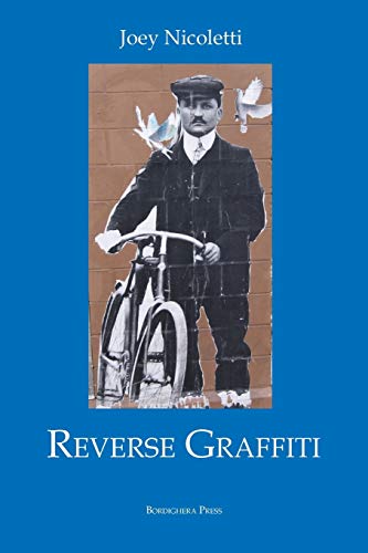 Reverse Graffiti [Paperback]