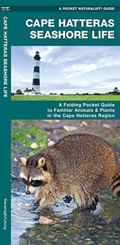 Cape Hatteras Seashore Life: A Folding Pocket Guide to Familiar Plants & Ani [Pamphlet]