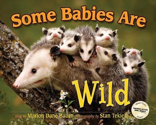 Some Babies Are Wild [Hardcover]