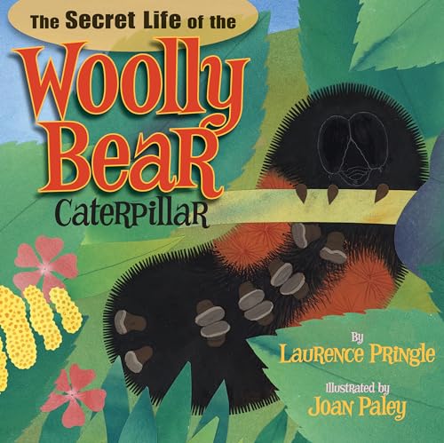 The Secret Life of the Woolly Bear Caterpillar [Hardcover]