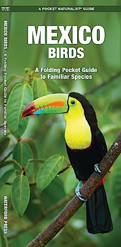 Mexico Birds: A Folding Pocket Guide to Familiar Species [Pamphlet]