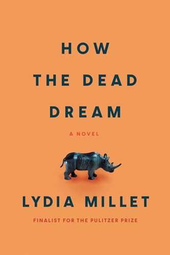 How the Dead Dream: A Novel [Paperback]