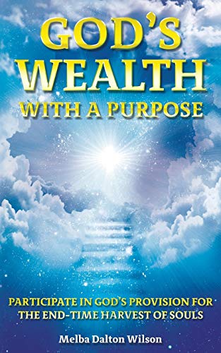 God's Wealth With A Purpose [Paperback]