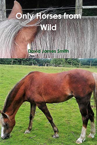 Only Horses From Wild [Paperback]