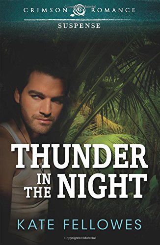 Thunder In The Night [Paperback]