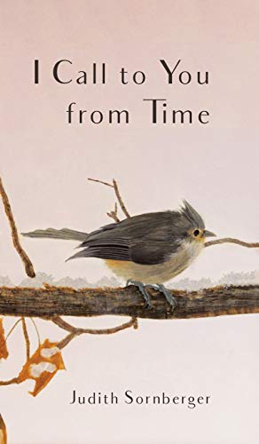 I Call to You from Time [Hardcover]