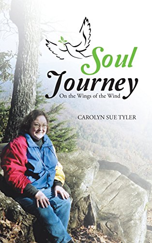 Soul Journey On The Wings Of The Wind [Hardcover]