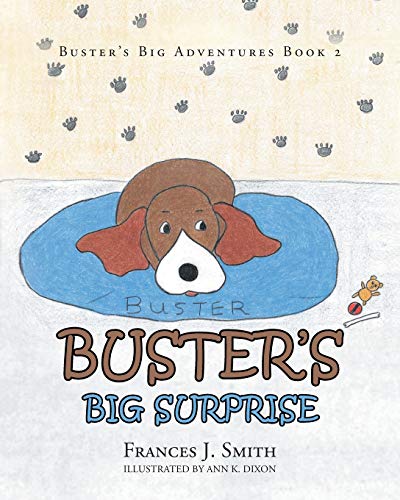 Buster's Big Surprise [Paperback]