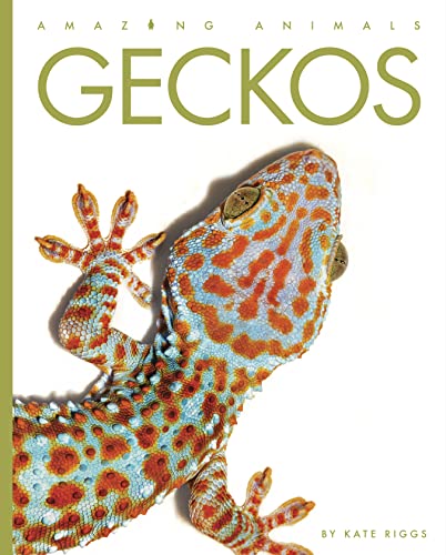 Geckos [Paperback]