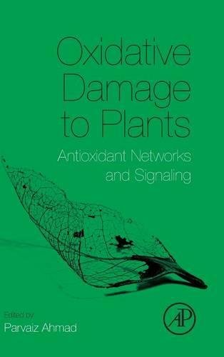 Oxidative Damage to Plants Antioxidant Netorks and Signaling [Hardcover]