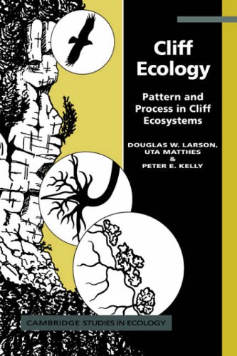 Cliff Ecology Pattern and Process in Cliff Ecosystems [Paperback]