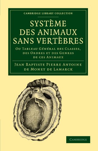 Systme des animaux sans vertbres Ou tableau gnral des classes, des ordres e [Paperback]