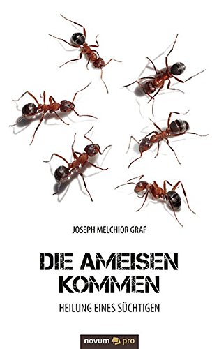 Die Ameisen Kommen Heilung Eines Schtigen (german Edition) [Paperback]