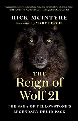 The Reign of Wolf 21: The Saga of Yellowstone's Legendary Druid Pack [Hardcover]