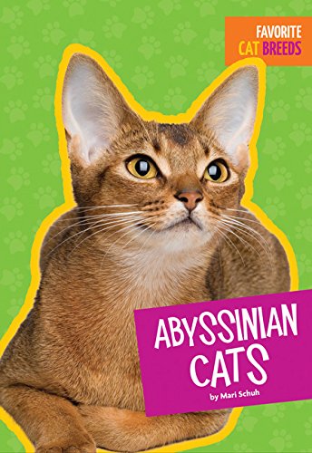 Abyssinian Cats [Paperback]