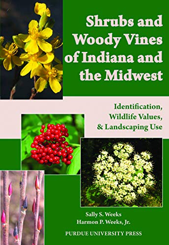 Shrubs And Woody Vines Of Indiana And The Midwest: Identification, Wildlife Valu [Paperback]