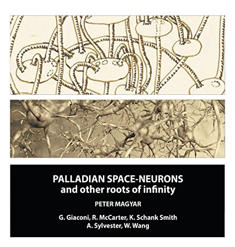 Palladian Space-Neurons And Other Roots Of Infinity [Hardcover]