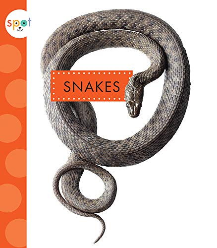 Snakes [Paperback]