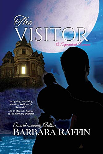 The Visitor A Supernatural Romance [Paperback]