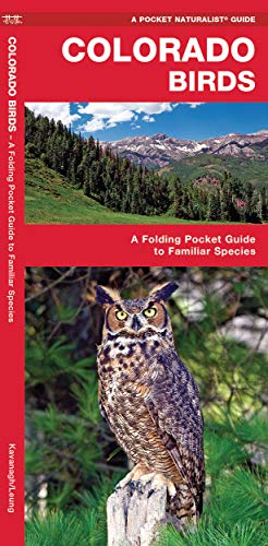 Colorado Birds: A Folding Pocket Guide to Familiar Species [Pamphlet]