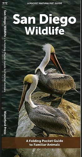 San Diego Wildlife: A Folding Pocket Guide to Familiar Animals [Pamphlet]