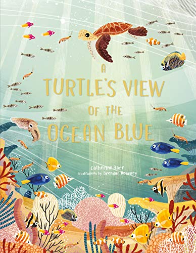 A Turtle's View of the Ocean Blue [Hardcover]