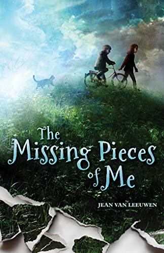 The Missing Pieces of Me [Paperback]