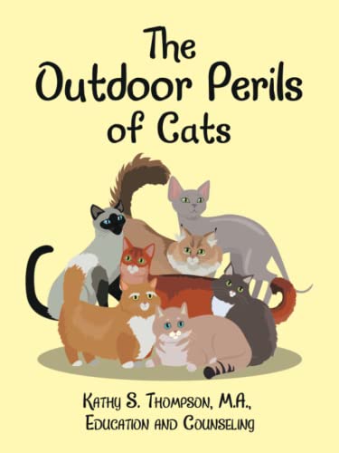 Outdoor Perils Of Cats