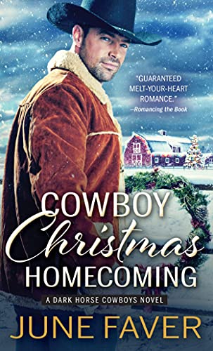 Cowboy Christmas Homecoming [Paperback]